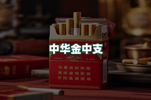 中华金中支